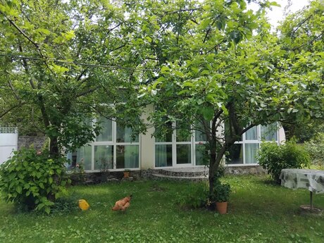 2 otaqlı həyət evi/bağ evi - Qax - 60 m²