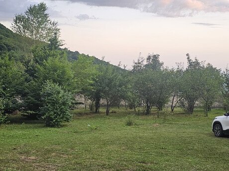 5 otaqlı həyət evi/bağ evi - Qəbələ - 200 m²