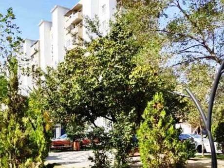 Elan №6062501 - Bakı, Bakıxanov q., 3 otaqlı, 75 m², 7/9 mərtəbə