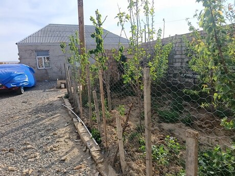 Obyekt - Masazır q. - 300 m²