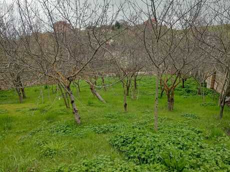 3 otaqlı həyət evi/bağ evi - Şamaxı - 113 m²