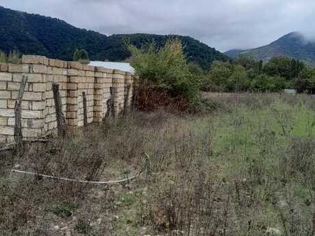 Torpaq - Qəbələ - 10 sot