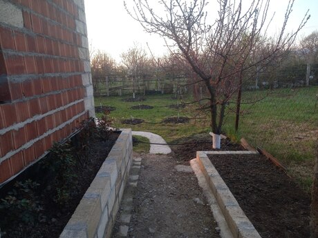 3 otaqlı həyət evi/bağ evi - Quba - 100 m²