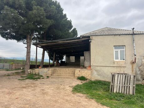 Obyekt - Şabran - 500000 m²