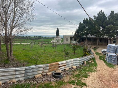 Obyekt - Şabran - 500000 m²