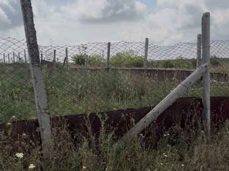 Torpaq - Şamaxı - 12 sot