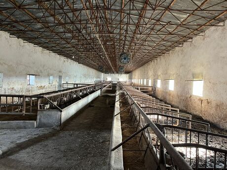 Объявление №6063379 - Ширван, Ширван, 1700 м²