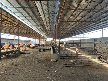 Obyekt - Şirvan - 1700 m²