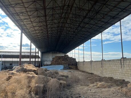 Obyekt - Şirvan - 1700 m²