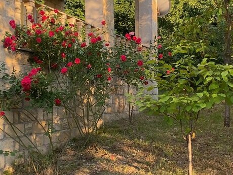 5 otaqlı həyət evi/bağ evi - Quba - 246 m²