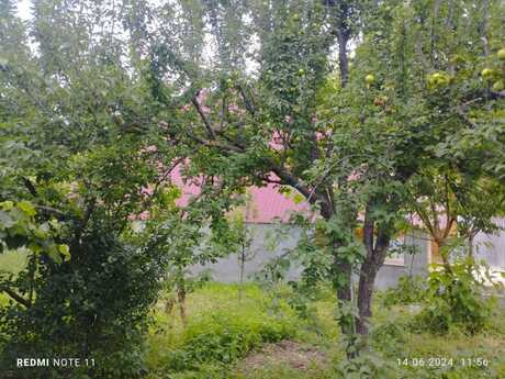 3 otaqlı həyət evi/bağ evi - İsmayıllı - 100 m²