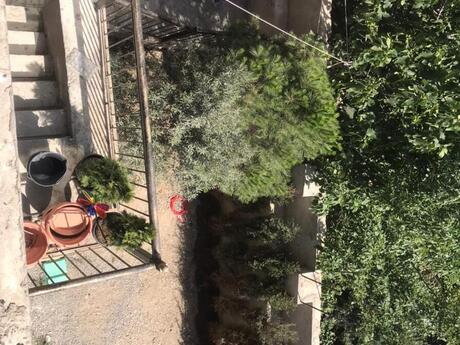 6 otaqlı həyət evi/bağ evi - Badamdar q. - 360 m²