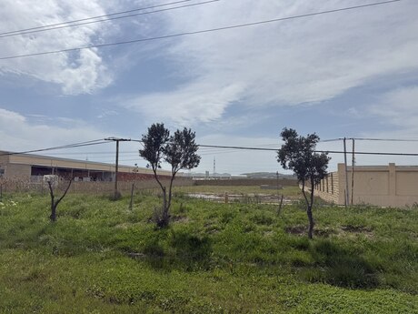 Объявление №6063741 - Баку, Абшеронcкий  р., 255 сот