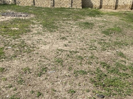 Torpaq - Yeni Corat q. - 4 sot