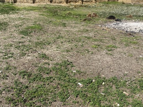 Torpaq - Yeni Corat q. - 4 sot
