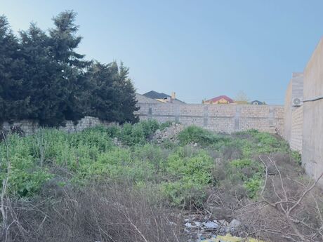 Объявление №6065018 - Баку, пос. Мардакан, 6 сот