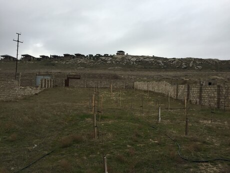 Torpaq - Pirallahı r. - 10 sot