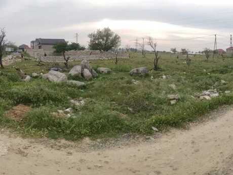 Torpaq - Zabrat q. - 4 sot