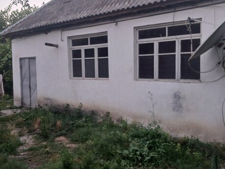 6 otaqlı həyət evi/bağ evi - İsmayıllı - 220 m²