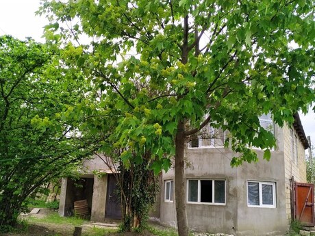 6 otaqlı həyət evi/bağ evi - Quba - 220 m²