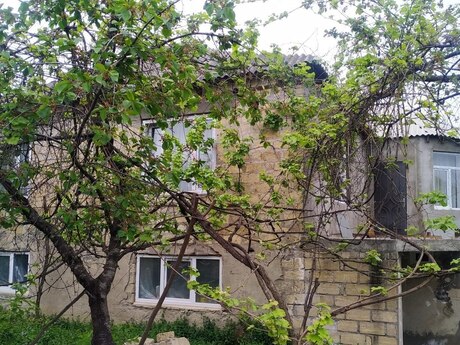 6 otaqlı həyət evi/bağ evi - Quba - 220 m²