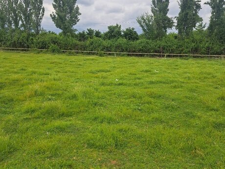 Объявление №6065686 - Габала, Габала, 71 сот