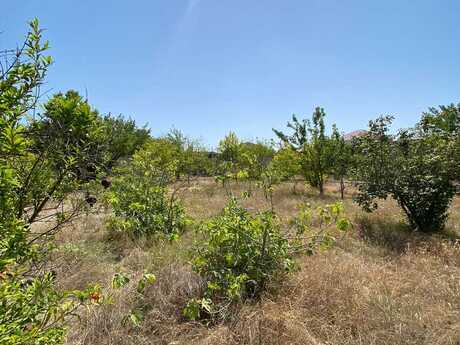 Объявление №6065726 - Баку, пос. Новханы, 11.5 сот