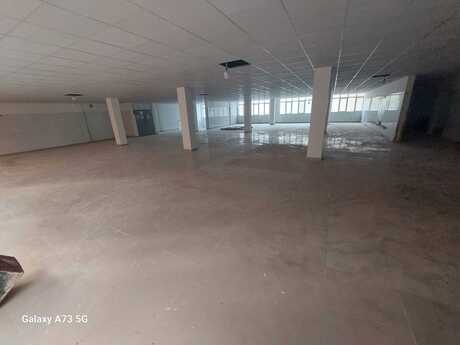 Obyekt - Nəsimi r. - 1230 m²