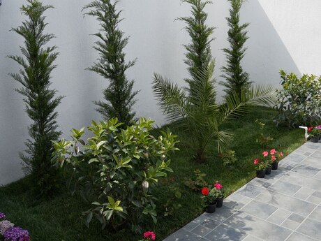 4 otaqlı həyət evi/bağ evi - Mərdəkan q. - 150 m²