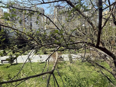 3 otaqlı köhnə tikili - Həzi Aslanov m. - 75 m²