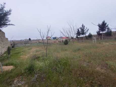 Elan №6066349 - Bakı, Nardaran q., 24 sot