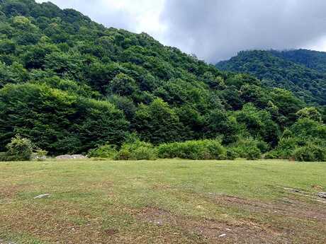 Объявление №6066386 - Габала, Габала, 20.6 сот