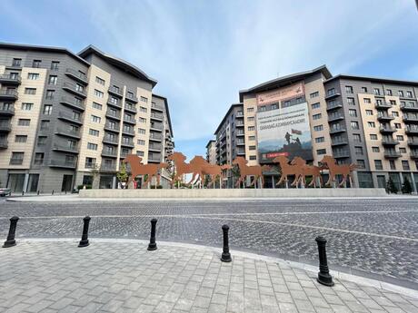 Elan №6055575 - Bakı, Ağ şəhər q., 5 otaqlı, 253.7 m², 5/8 mərtəbə