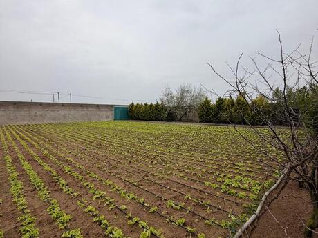 3 otaqlı həyət evi/bağ evi - Türkan q. - 220 m²