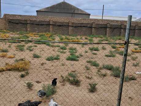 4 otaqlı həyət evi/bağ evi - Zirə q. - 100 m²