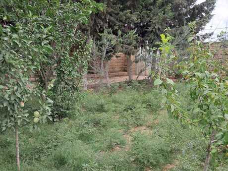 4 otaqlı həyət evi/bağ evi - Zirə q. - 100 m²