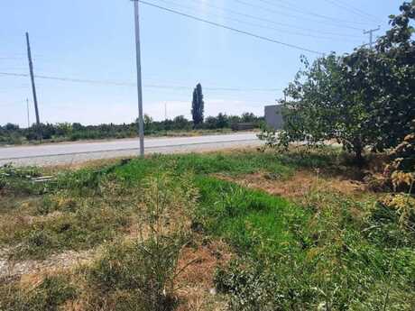 Torpaq - Xaçmaz - 14.5 sot
