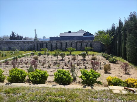 5 otaqlı həyət evi/bağ evi - Albalılıq q. - 500 m²