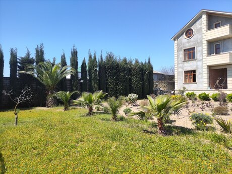 5 otaqlı həyət evi/bağ evi - Albalılıq q. - 500 m²