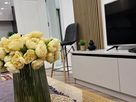 Elan №6066801 - Bakı, Nərimanov r., 2 otaqlı, 65 m², 3/16 mərtəbə