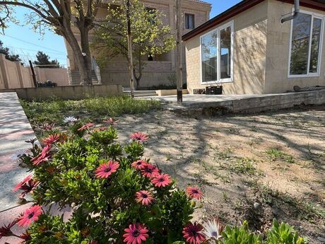6 otaqlı həyət evi/bağ evi - Görədil q. - 250 m²