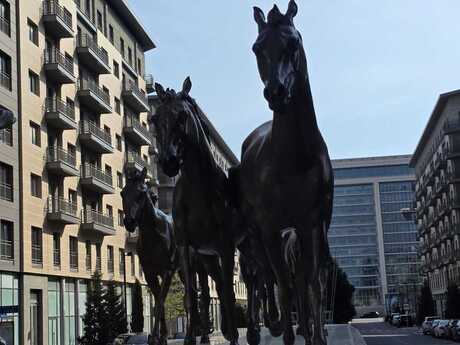 Объявление №6067170 - Баку, пос. Аг шехер, 107 м²