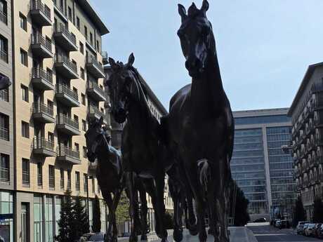 Объявление №6067261 - Баку, пос. Аг шехер, 150 м²