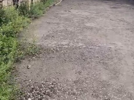 Obyekt - İmişli - 10000 m²