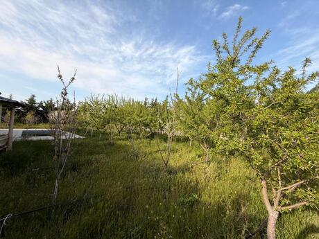 3 otaqlı həyət evi/bağ evi - Zirə q. - 165 m²
