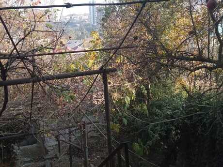 2 otaqlı həyət evi/bağ evi - Qaraçuxur q. - 55 m²
