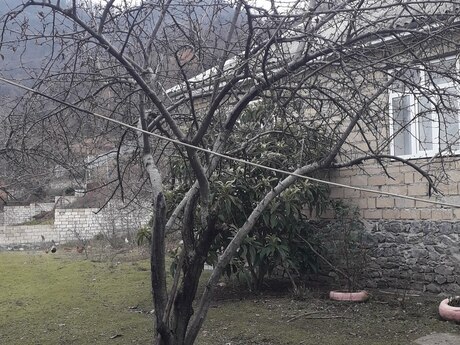 4 otaqlı həyət evi/bağ evi - İsmayıllı - 120 m²