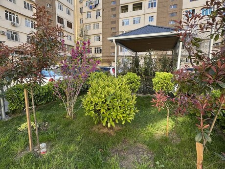 5-комн. вторичка - пос. Ени Ясамал - 130 м²