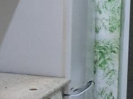 1 otaqlı həyət evi/bağ evi - Binəqədi r. - 15 m²