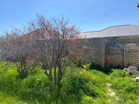 4 otaqlı həyət evi/bağ evi - Binə q. - 100 m²